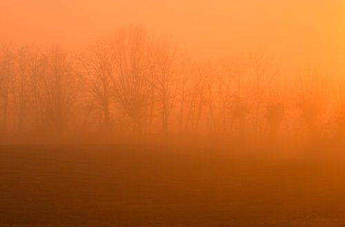 Nebbia al tramonto